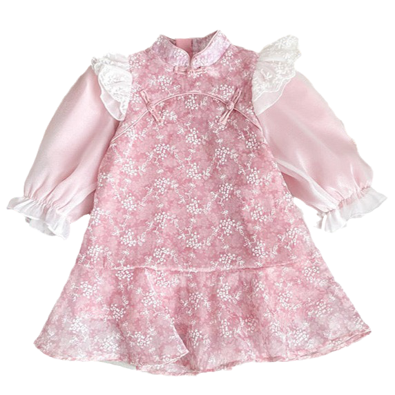 Baby Kid Girls Flower Lace Embroidered Dresses