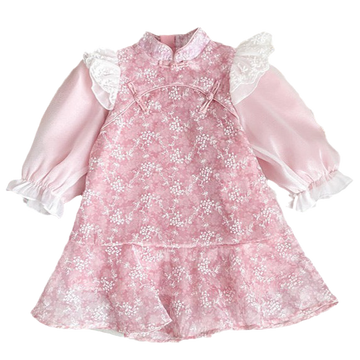 Baby Kid Girls Flower Lace Embroidered Dresses