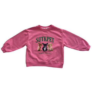 Baby Kid Girls Letters Animals Print Hoodies Swearshirts